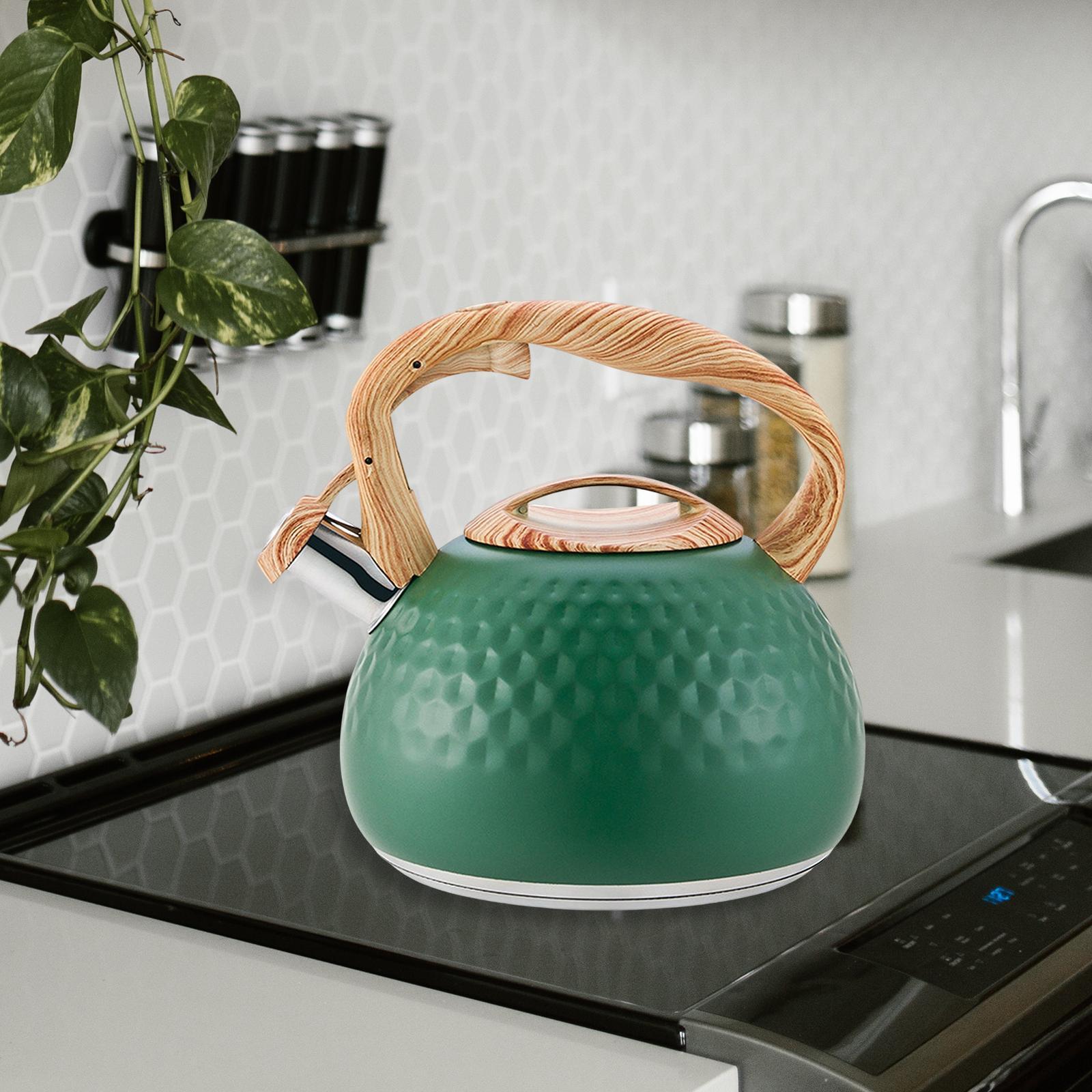 Stainless Steel Whistle Kettle 3L Teapot for Induction Cooker Tea Room Home