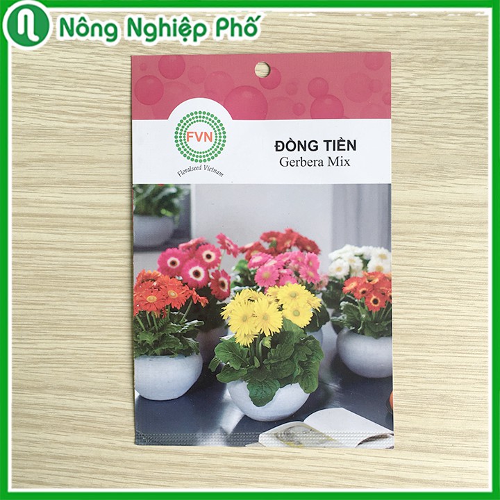 Hạt giống hoa đồng tiền lùn gerbera mix FVN - 5 hạt