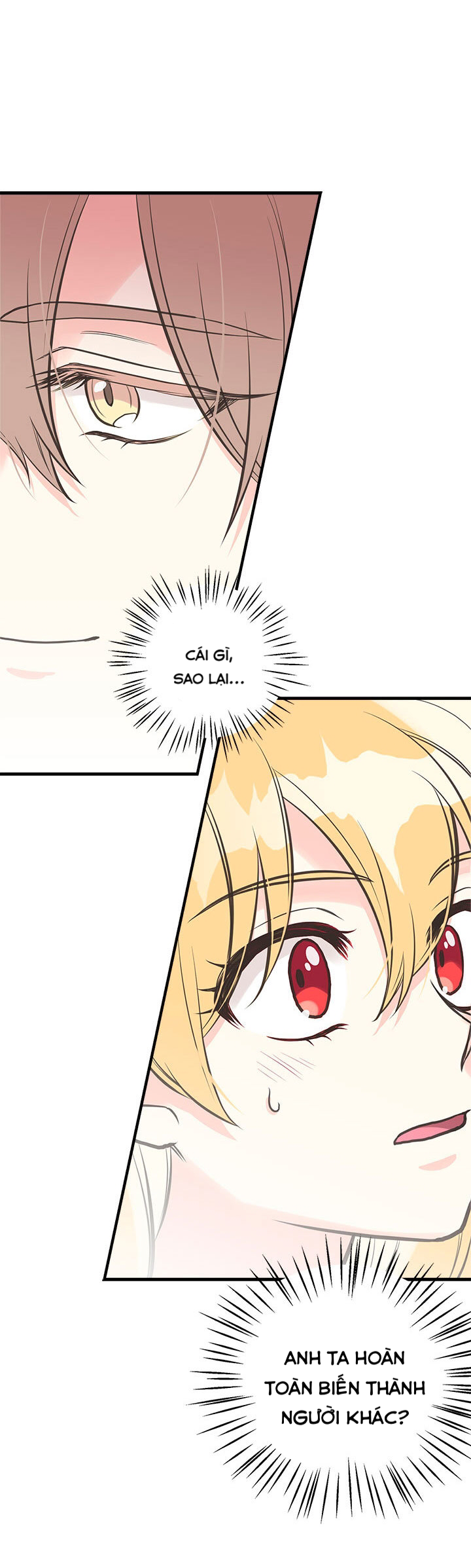 chị tôi đã nhặt về một nam chính quyến rũ chapter 28 45