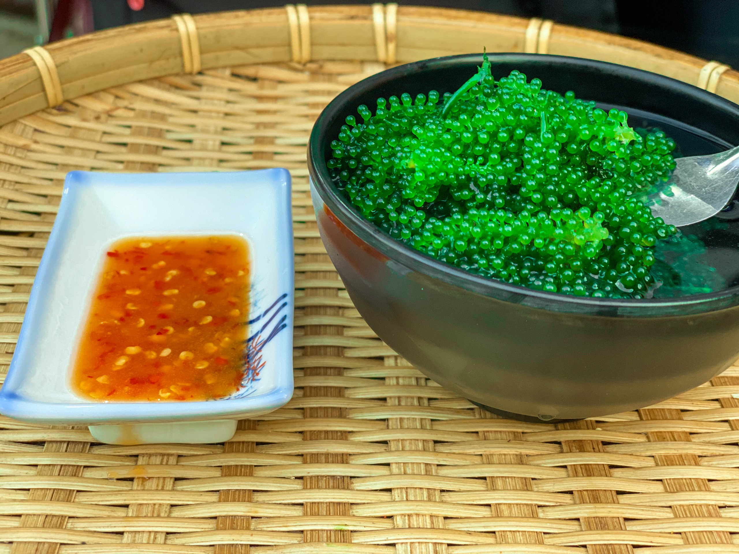 Rong nho biển GREEN FOOD - Sea grapes - Giàu vitamin, khoáng chất và các axit amin