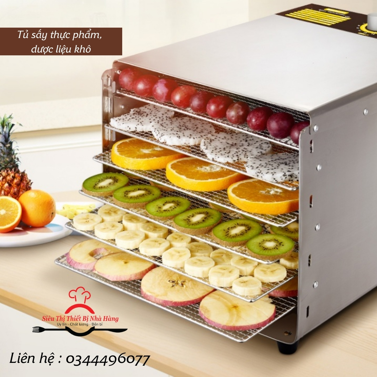 TỦ SẤY THỰC PHẨM MINI [BẢO HÀNH 12 THÁNG] 6 KHAY LÀM KHÔ BÒ, KHÔ GÀ, MÍT SẤY