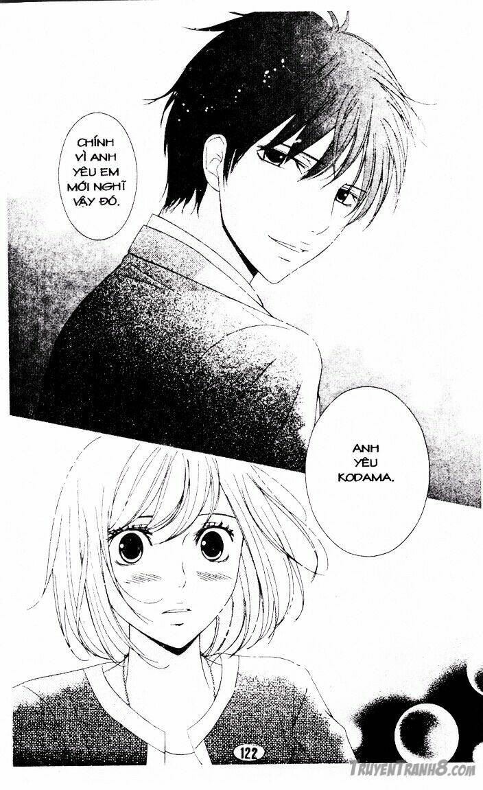 hôn cánh hoa yêu chapter 11 6