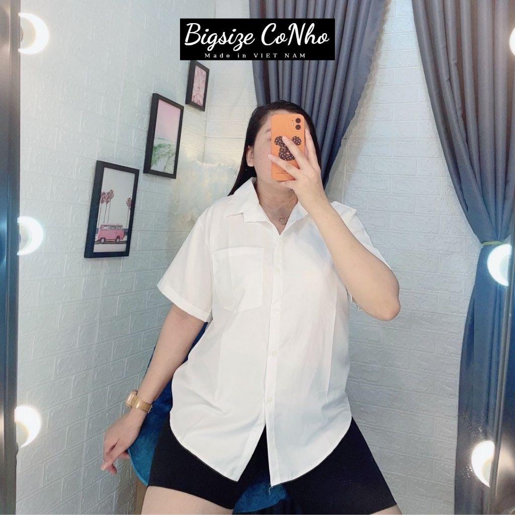 Quần legging bigsize, Quần đùi ôm size ngoại cỡ nữ QOM