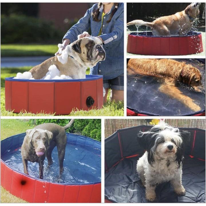 Hồ bơi tắm rửa cho Thú Cưng PORTABLE PAW POOL 80x20cm - AsiaMart