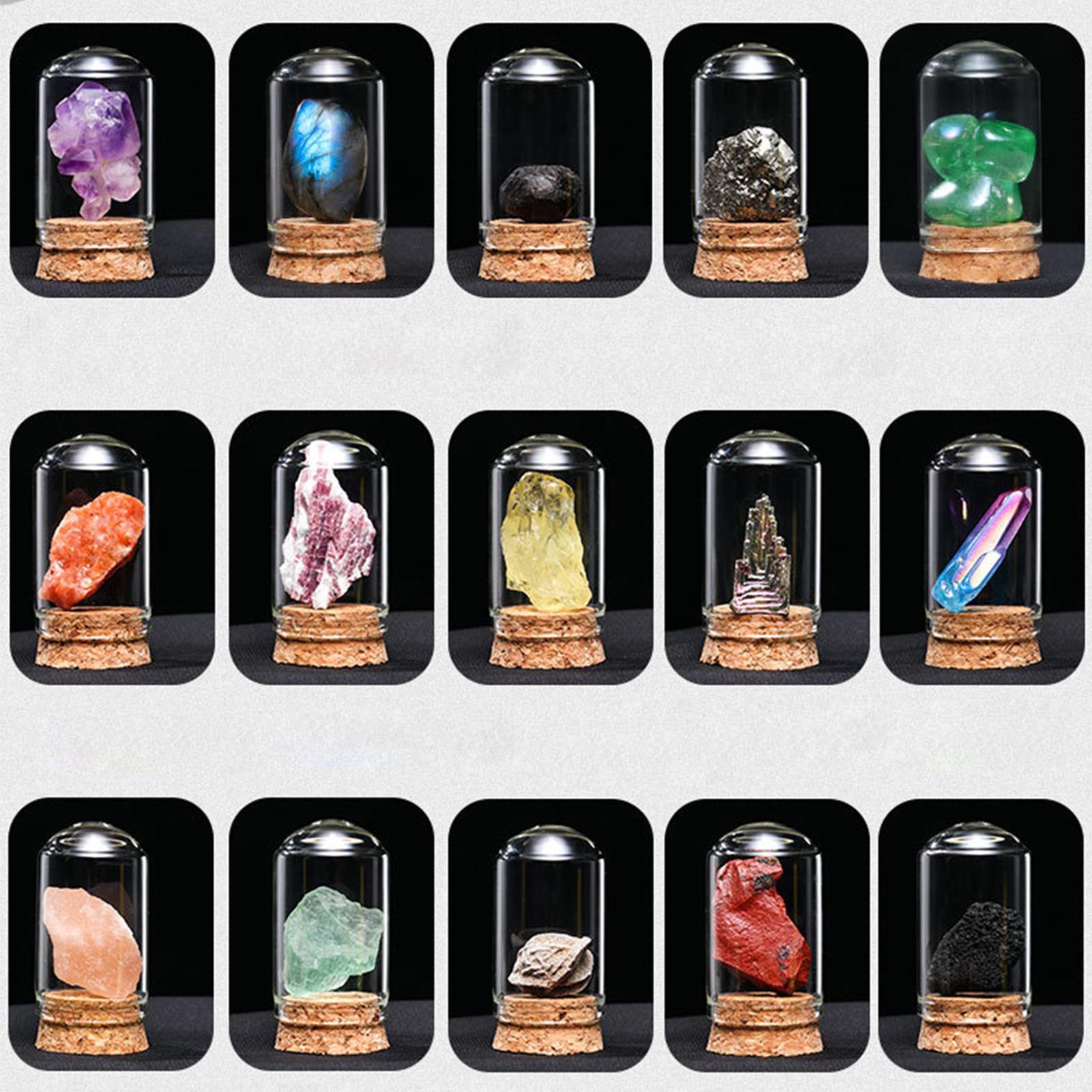 Novelty Rock and Mineral Collection for Adults Boys Birthday Gift