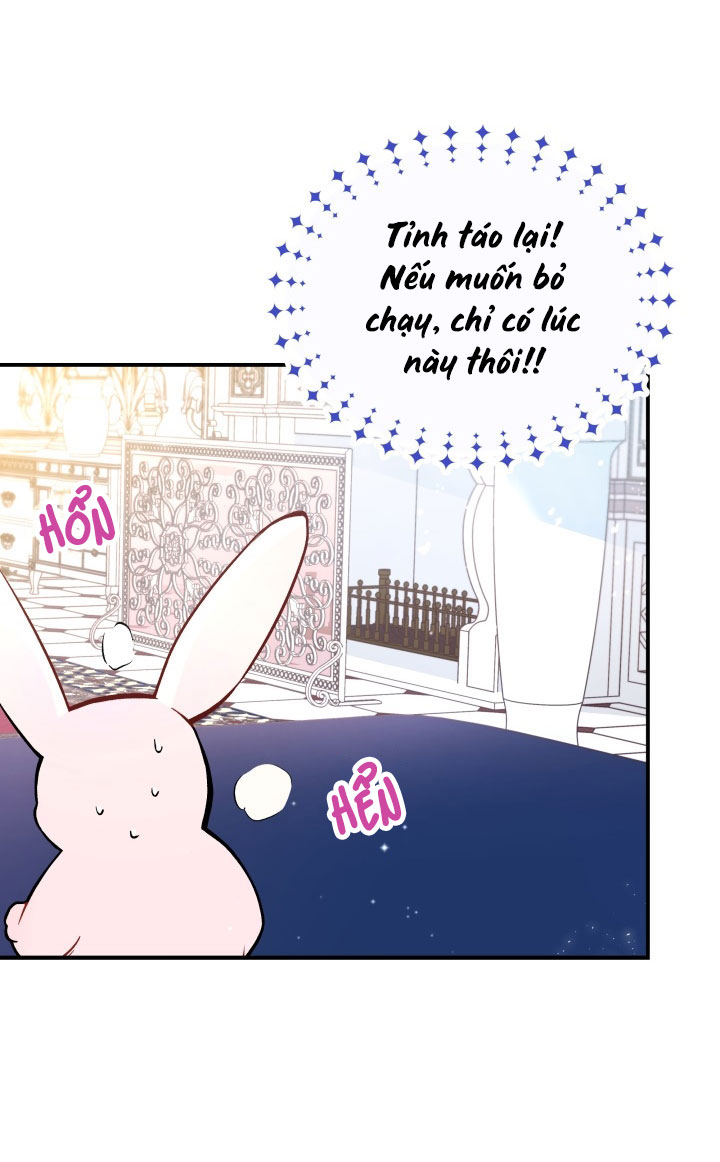 mối liên kết giữa báo đen và bé thỏ chapter 2 11