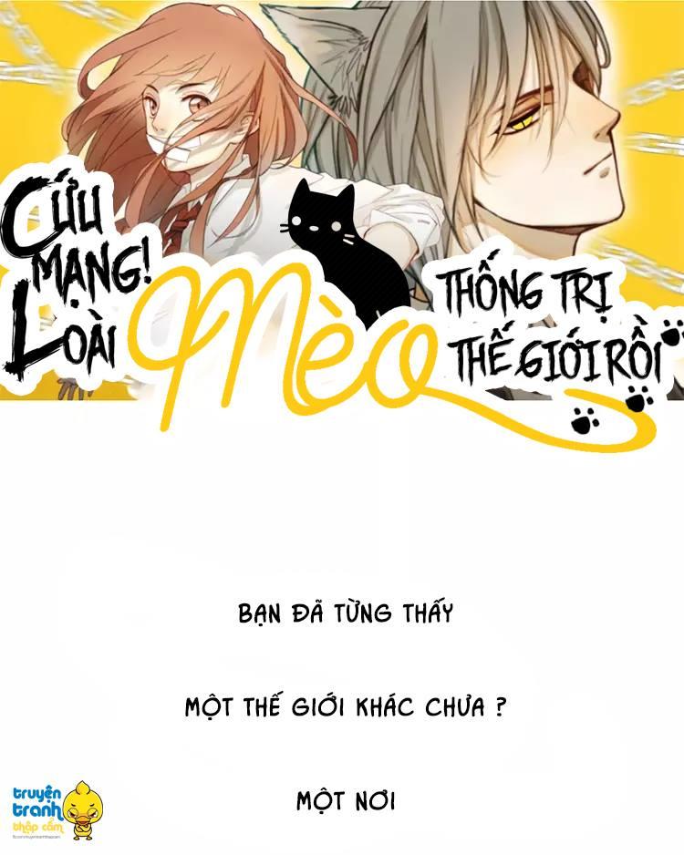 cứu mạng ! loài mèo thống trị thế giới rồi ! chapter 1 2