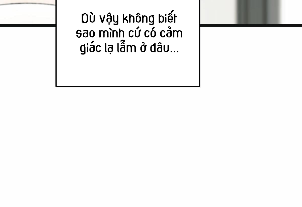 tương phùng chapter 22 115