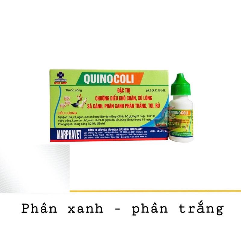 [THÚ Y] 1 lọ QUINOCOLI 10ml dùng cho gà vịt ngan