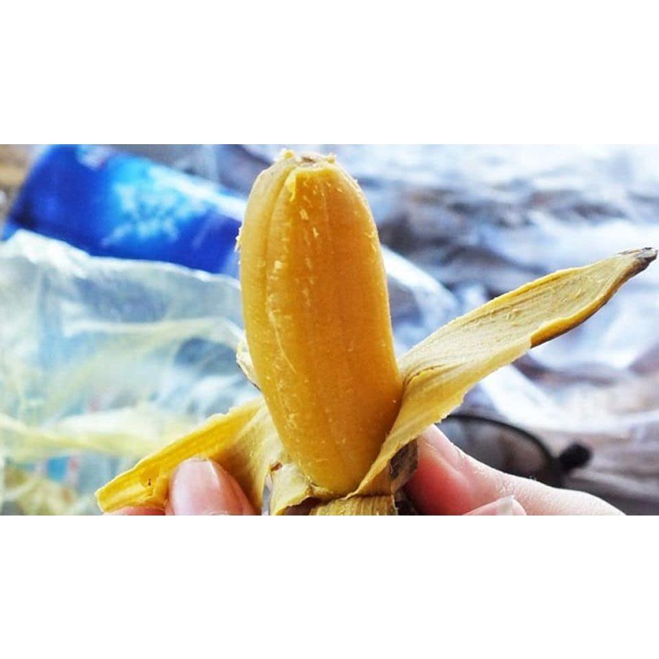 CÂY GIỐNG CHUỐI NGỰ ĐẠI HOÀNG cấy mố siêu sớm )
