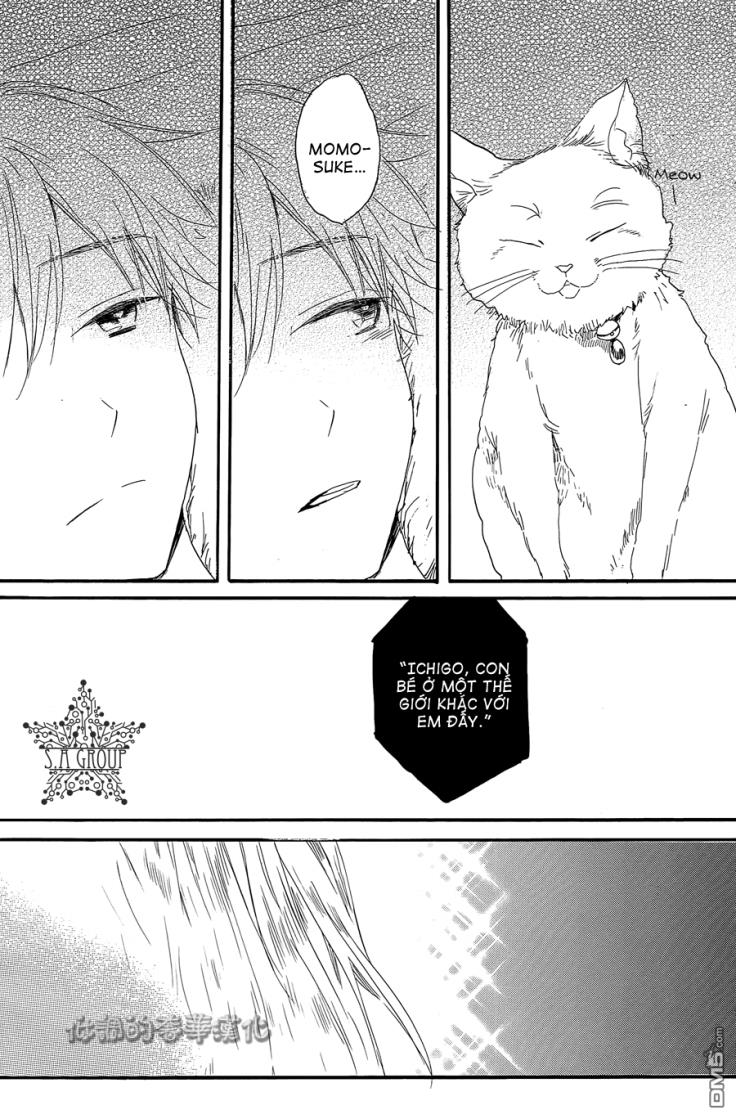 hoshikuzu drop chapter 6 11