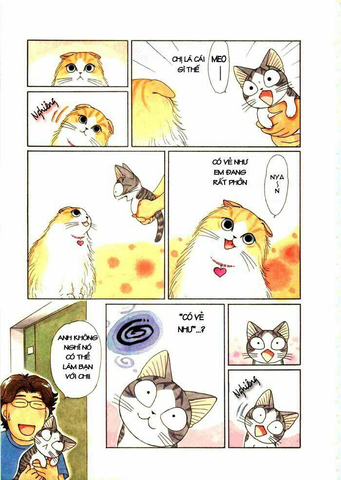 chi's sweet home chapter 63 6