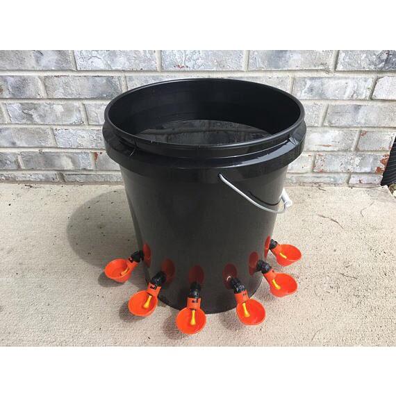 Máng uống nước tự động cho gà ngan vịt dùng hiệu quả