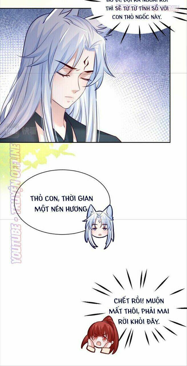 hắc hóa nam chính trực tuyến nuôi thỏ chapter 36 13