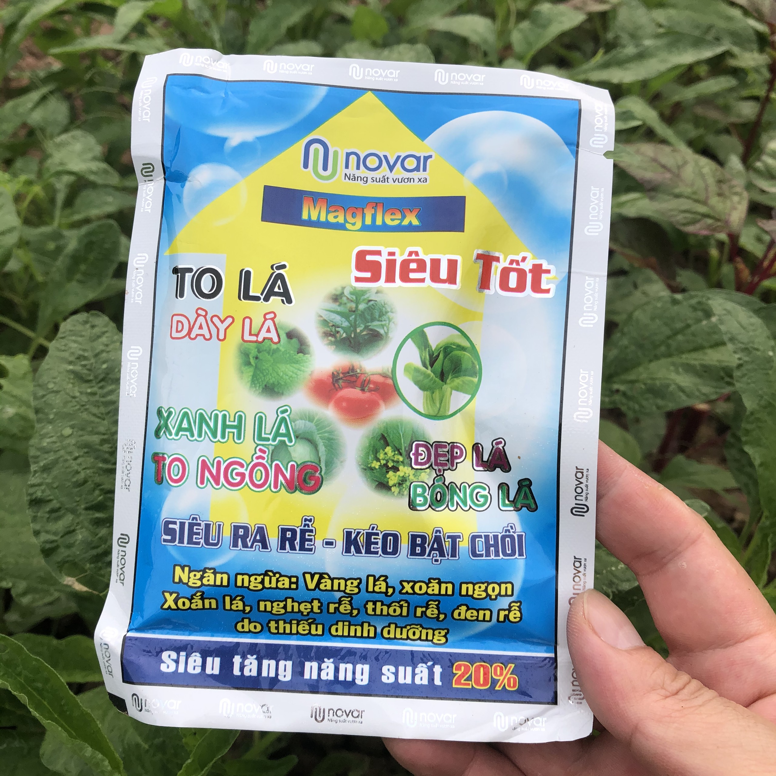 Combo 20 gói phân bón lá siêu ra rễ, kéo bật chồi, siêu vọt đọt, xanh lá, dày và to lá - Hiệu Novar 50g