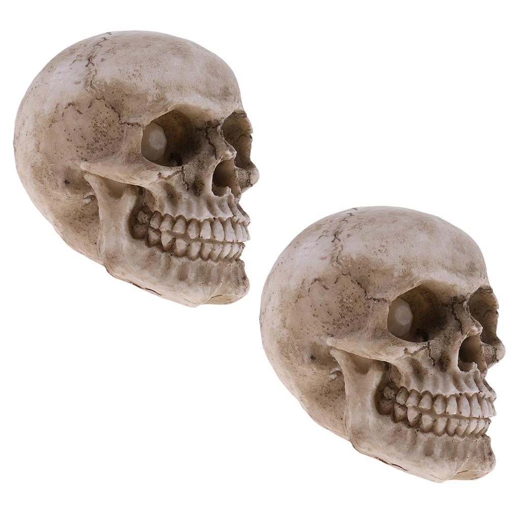 Mô Hình Nhựa Sọ Người Size Nhỏ Halloween Đầu Lâu In Hình Hoa Lá Cho Trẻ Em Quà Tặng