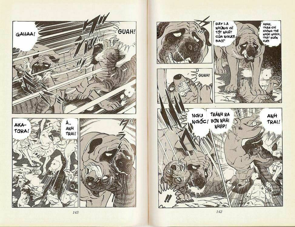 chú chó có nghĩa - ginga nagareboshi gin chapter 16 19