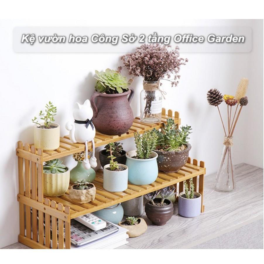 Kệ vườn hoa Công Sở 2 tầng Office Bamboo Garden 30x47cm