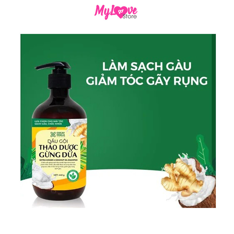 Dầu Gội Gừng Dừa Hữu Cơ Cocayhoala Ngăn Rụng Tóc Kích Thích Mọc Tóc - Giảm Gàu - Ngừa Cảm Lạnh  -Dưỡng Tóc Mềm Mượt Chắc Khỏe, Chai 440g