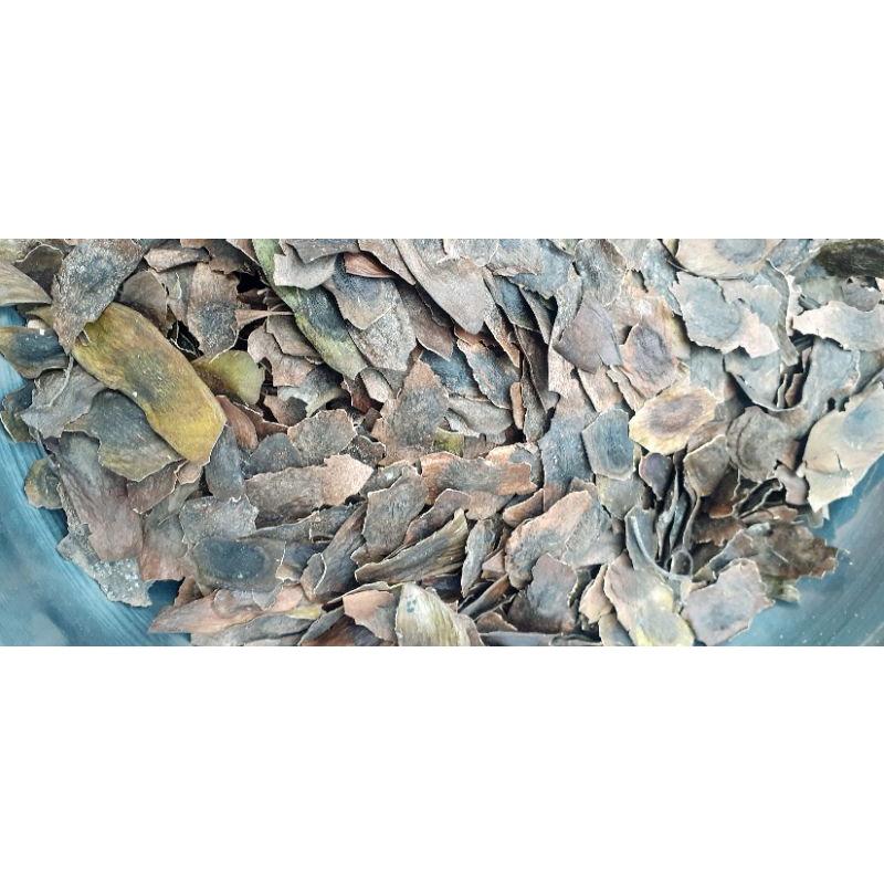 1kg sưa đỏ giống