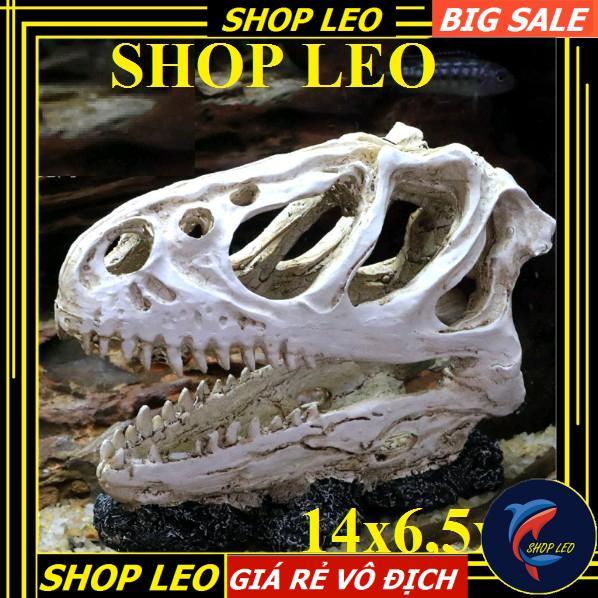 ĐẦU XƯƠNG KHỦNG LONG BẠO CHÚA SIZE TO - ĐẦU XƯƠNG KHỦNG LONG HANG THỦY SINH
