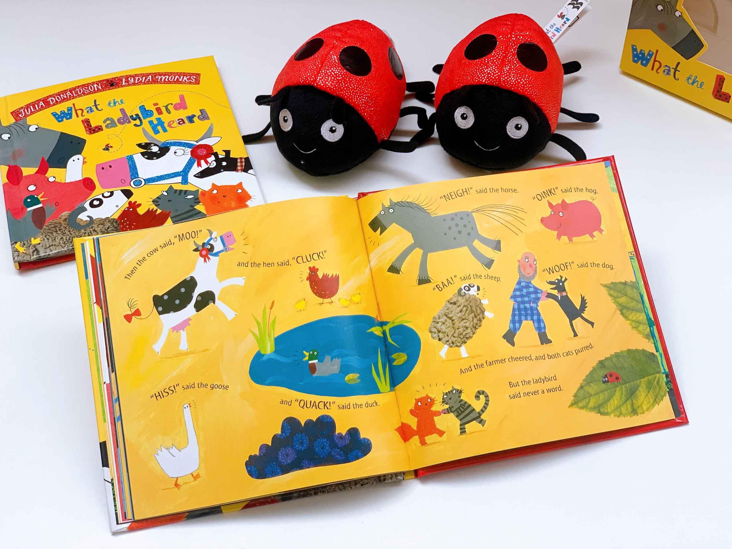 What the Ladybird Heard Book and Toy Gift Set