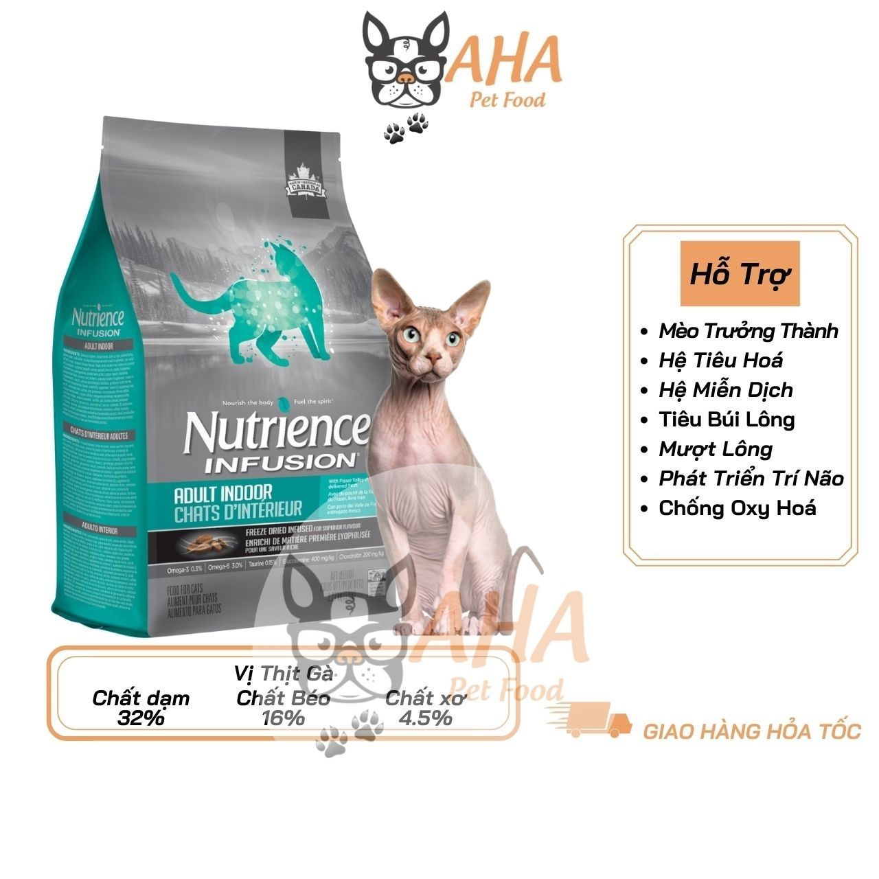 Thức Ăn Cho Mèo Ba Tư Bao 5kg Da Lông Bóng Mượt - Thịt Gà, Dầu Cá Hồi, Rau Củ, Trái Cây Tự Nhiên
