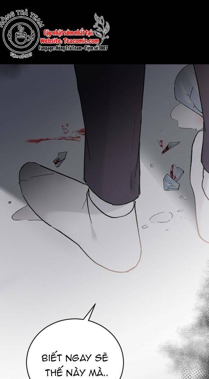 ba người anh trai cực phẩm của tôi chapter 51 39