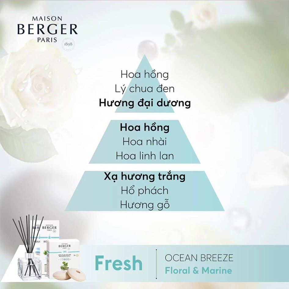 Maison Berger - Tinh dầu khuếch tán hương Ocean Breeze - 200ml