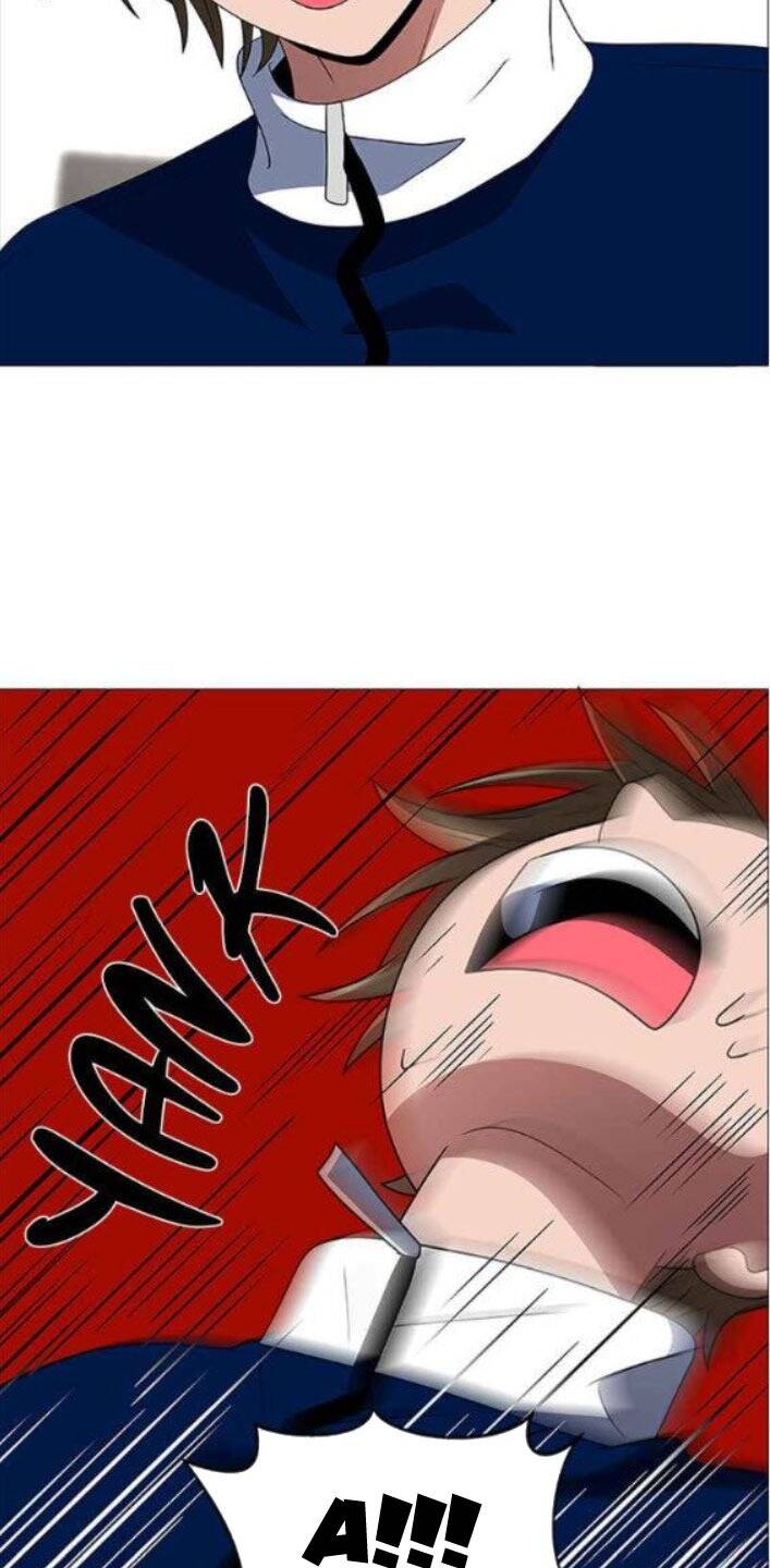 no scope chapter 116 24