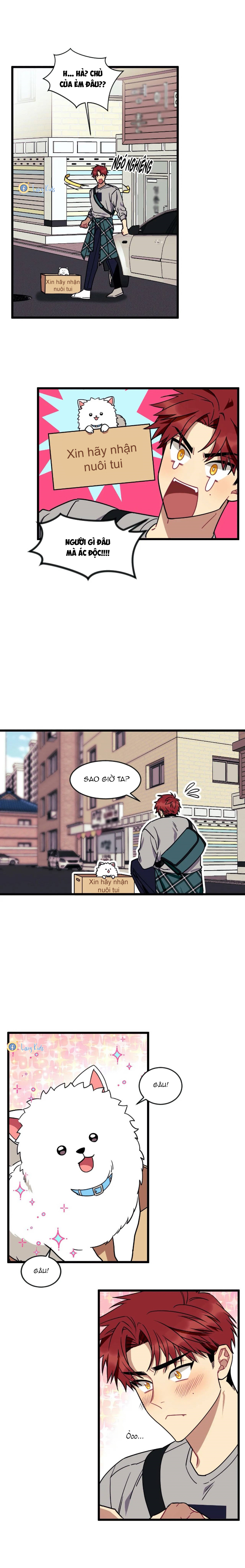 điều ước của cậu là mệnh lệnh của tớ chapter 11 18