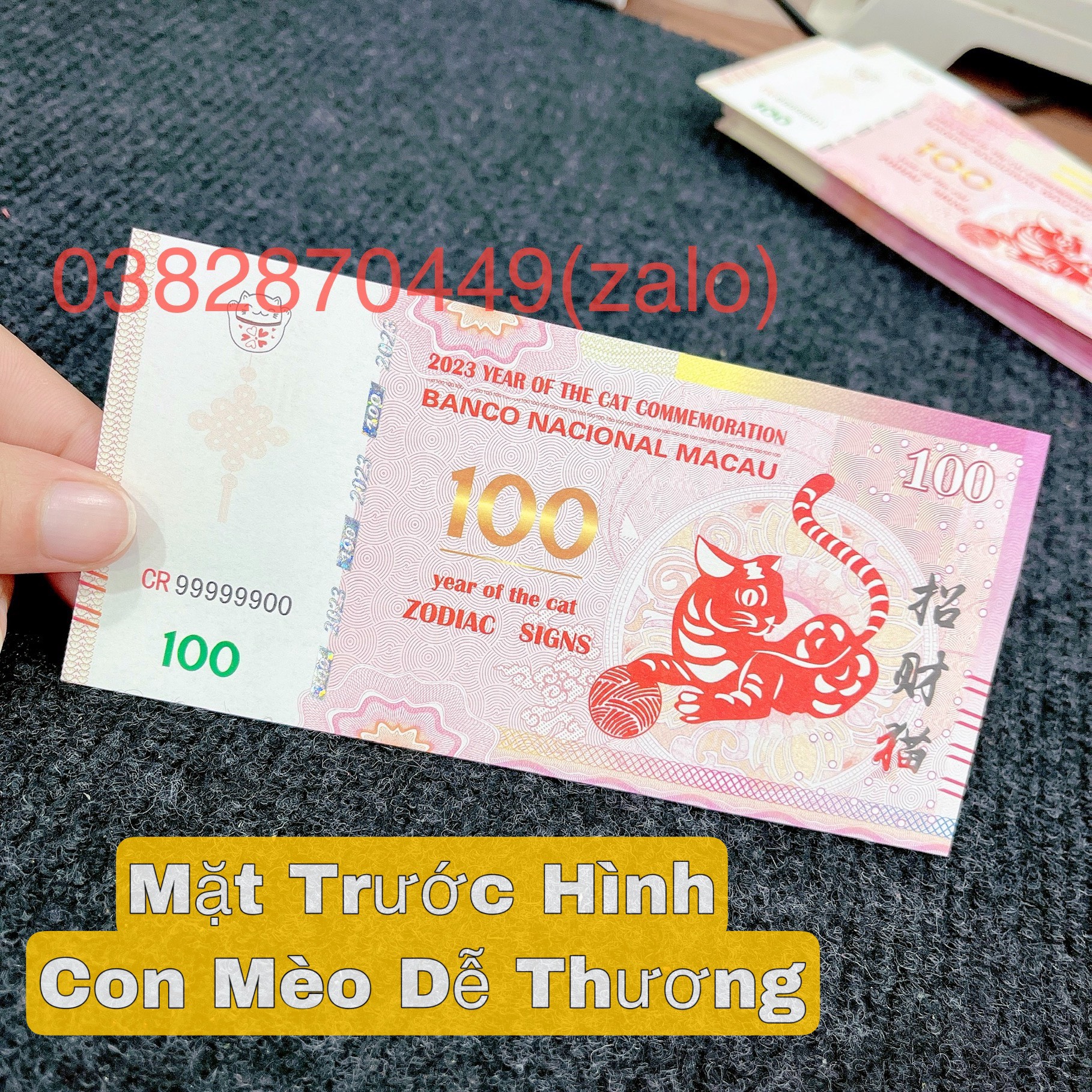 Tiền Con Mèo Macao Bảo An 100 Patacas Kỷ Niệm Lì Xì Tết Năm Quý Mão 2023 Phong Thủy May Mắn