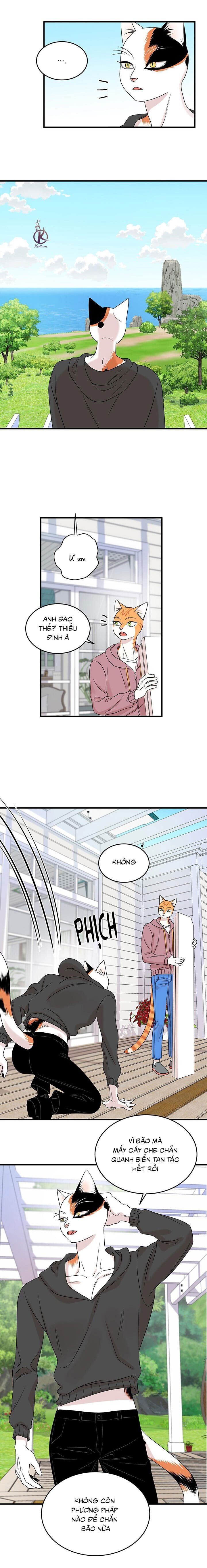 dự án xanh chapter 49 6