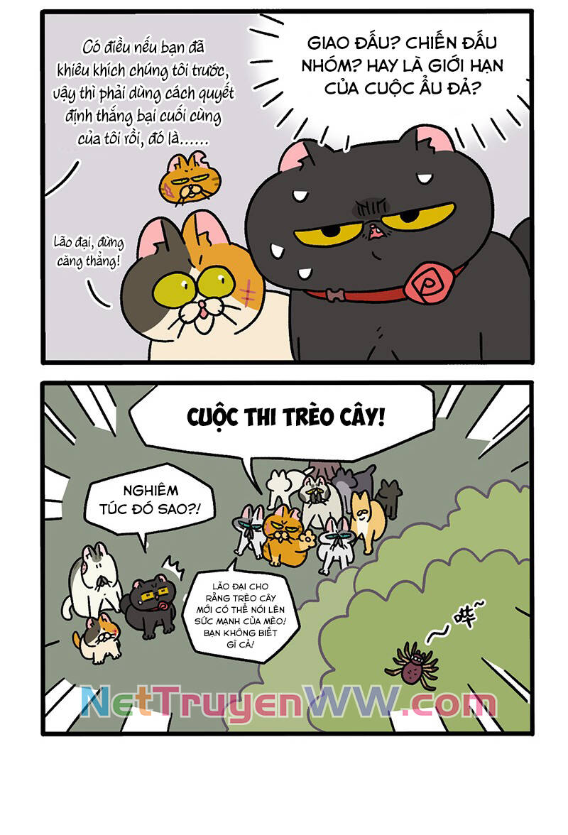 a mãn và mạch trà chapter 43 4