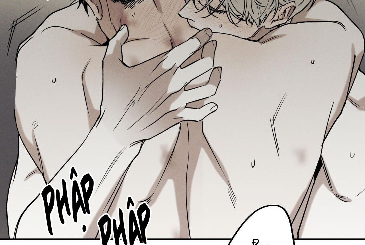 chàng giao pizza và gold palace chapter 47 15