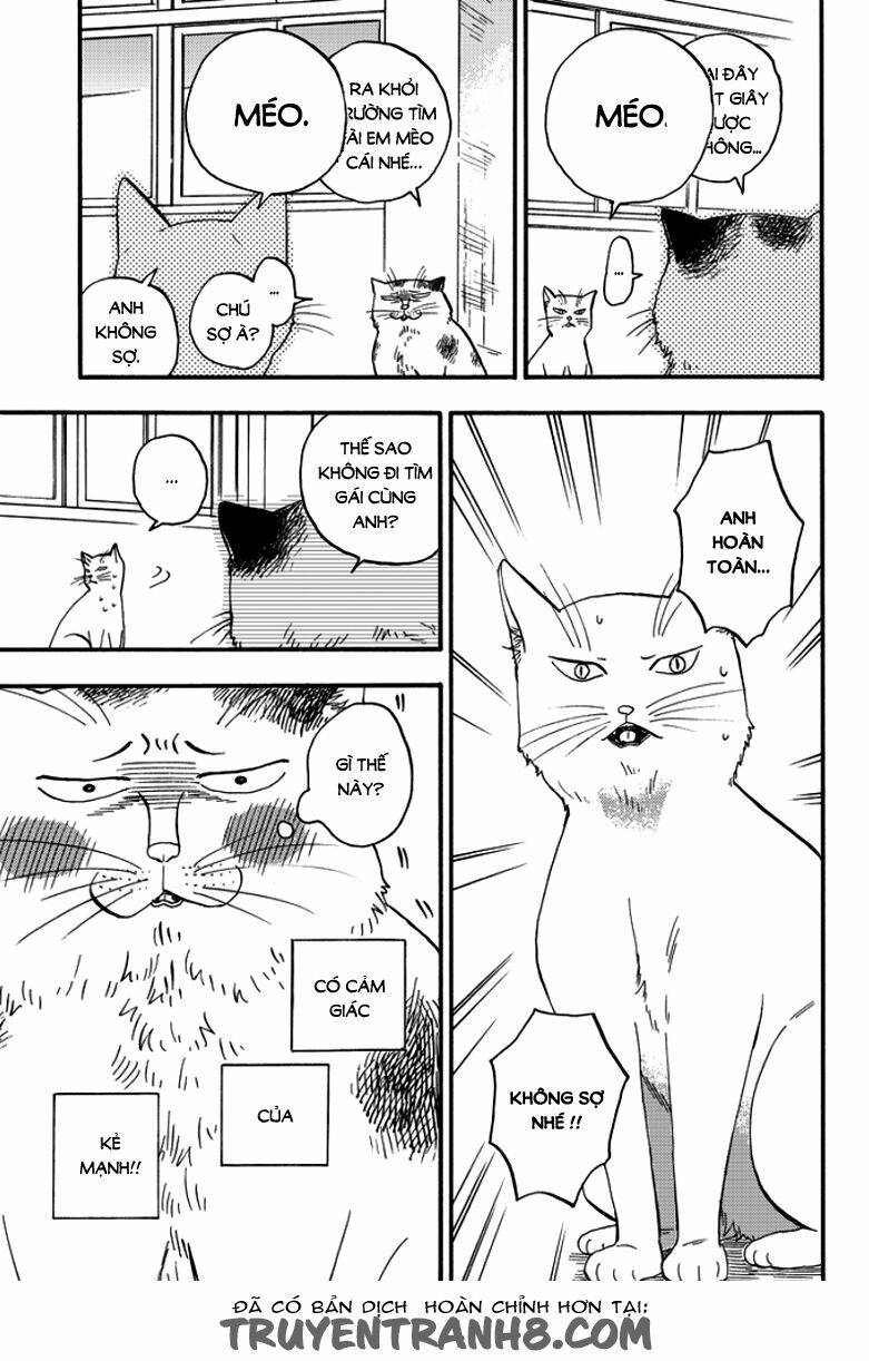 tui là busamen! chapter 2 16