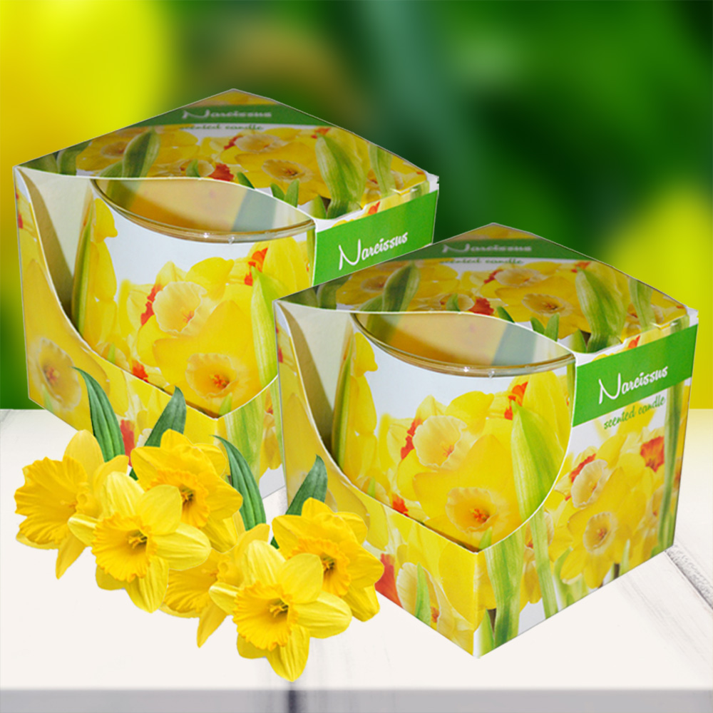 Combo 2 ly nến thơm tinh dầu Admit Narcissus 100g - thủy tiên vàng, nến trang trí, thơm phòng, thư giãn, khử mùi