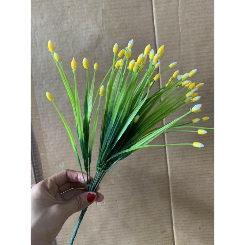 Cụm điểm sao 5 nhánh