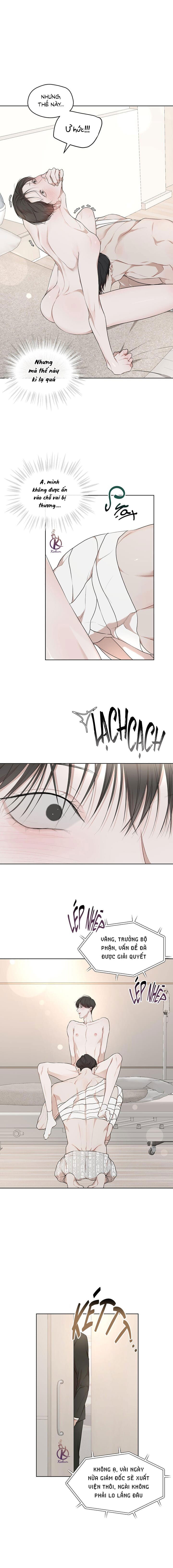 hình thái khởi sinh chapter 64 12