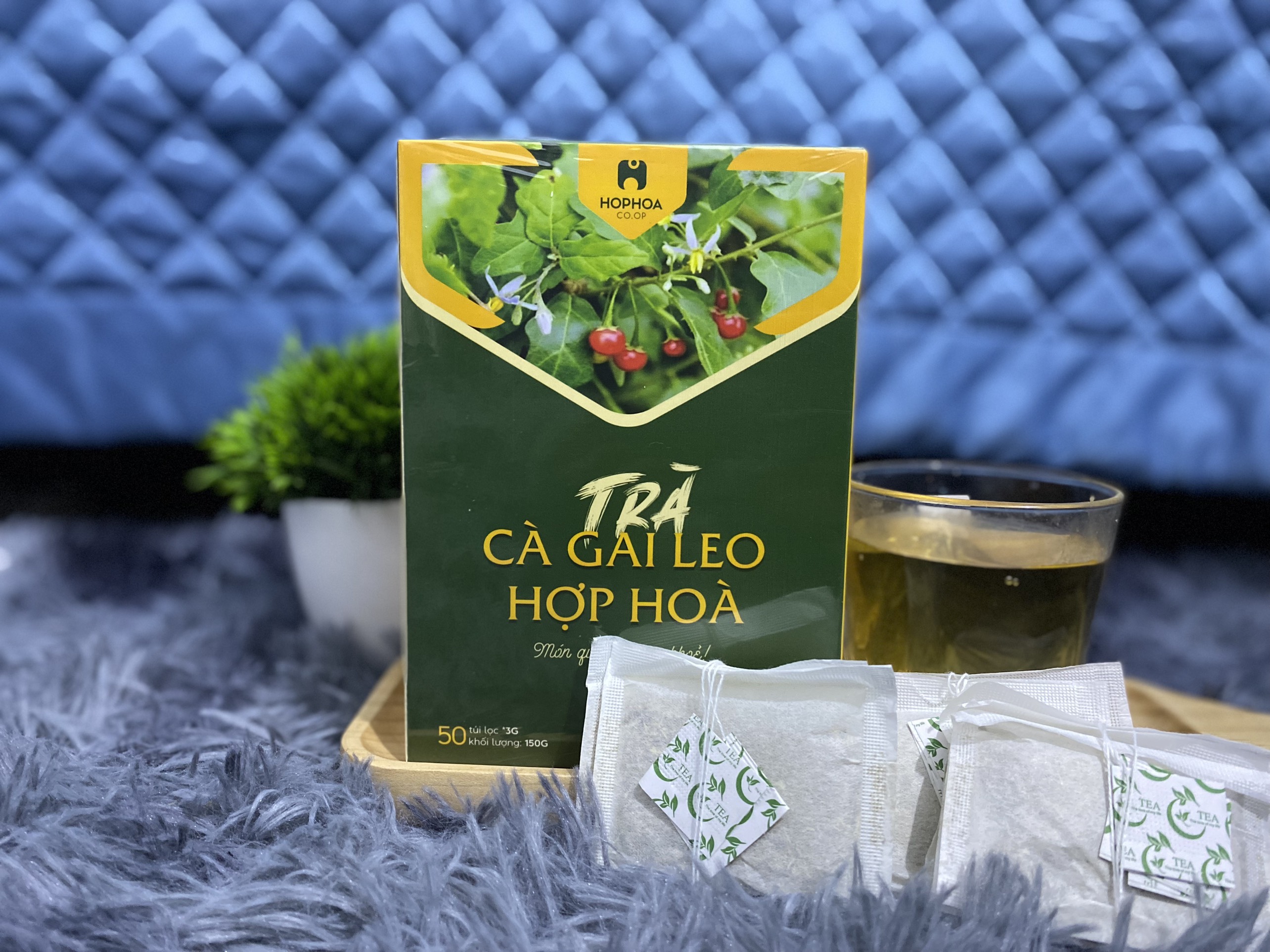 &quot;Mẫu Mới&quot; Trà Cà Gai Leo Hợp Hòa - Cà gai leo+Xạ đen+Cỏ Ngọt - 50 túi lọc - OCOP 4 Sao