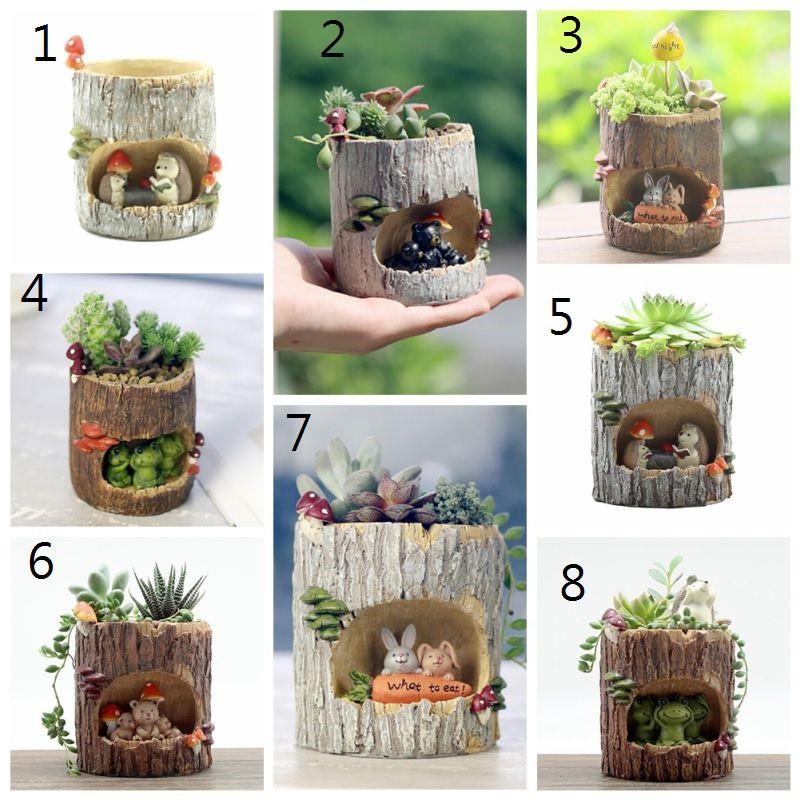 Mô hình chậu cây sương rồng sáng tạo