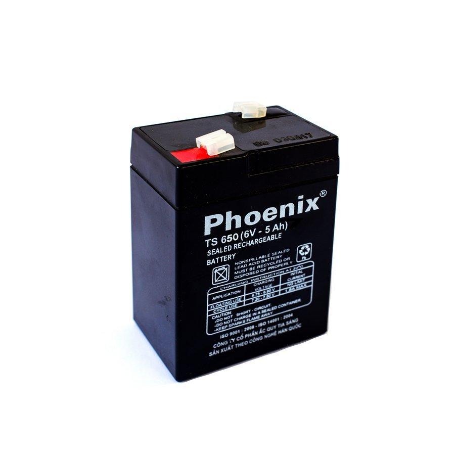 Ắc Quy PHOENIX TS 650 6V-5Ah - Chuyên Dùng Cho Nguồn Dự Phòng (UPS, Inverter, ...)