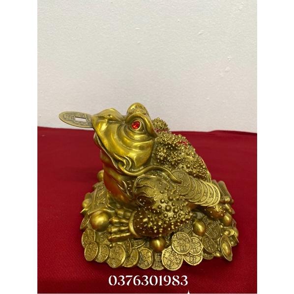 Cóc ngậm tiền, linh vật phong thủy