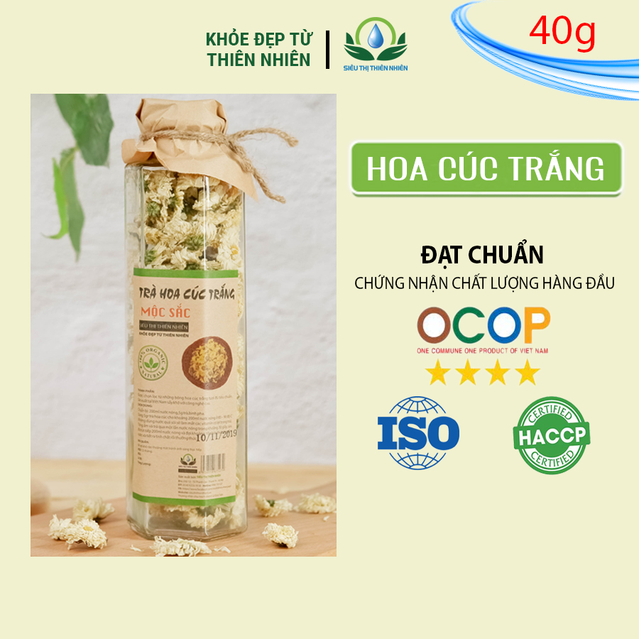 Trà hoa cúc trắng Mộc Sắc cao cấp