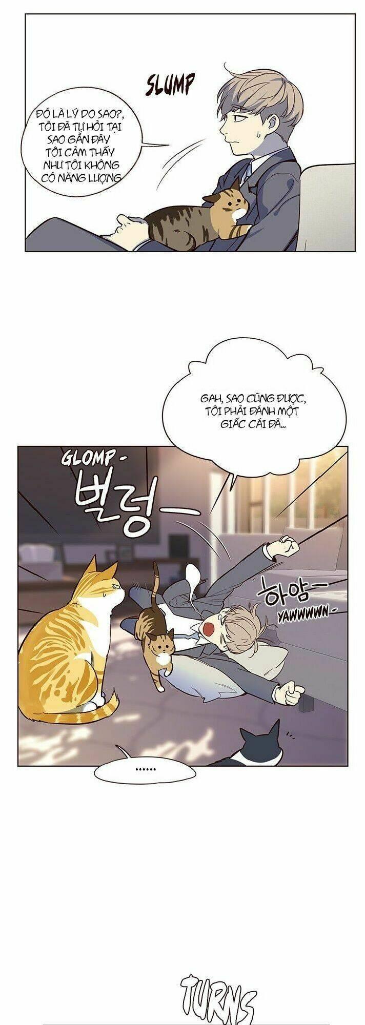 biến thân thành mèo chapter 7 63