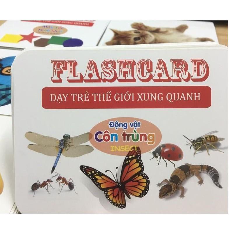 Bộ thẻ học thông minh Flash Card cỡ to 14 chủ đề (280 thẻ) cho bé Glenn Doman tặng con quay  Hand Spinner  Rlens
