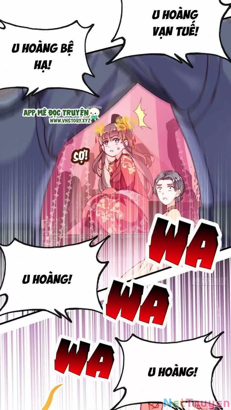 lại bị bệnh chiều chuộng quấn lấy chapter 1 37