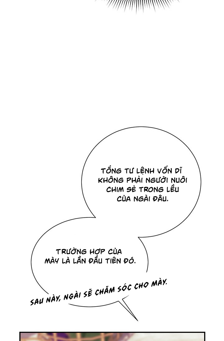 công chúa của loài chim chapter 20 13