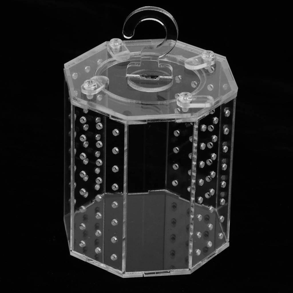 Spider Insect Reptile Tank Vivarium Cage Box Clear Acrylic Terrarium