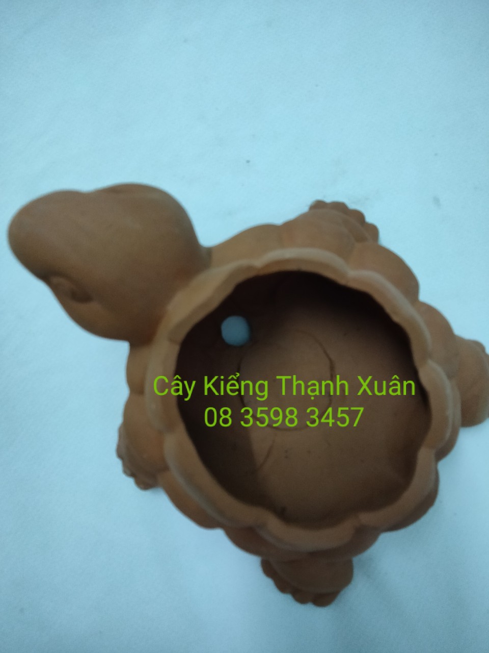 Chậu đất nung trồng cây - Chậu trồng cây sen đá, xương rồng chú rùa nhỏ  có lỗ thoát nước
